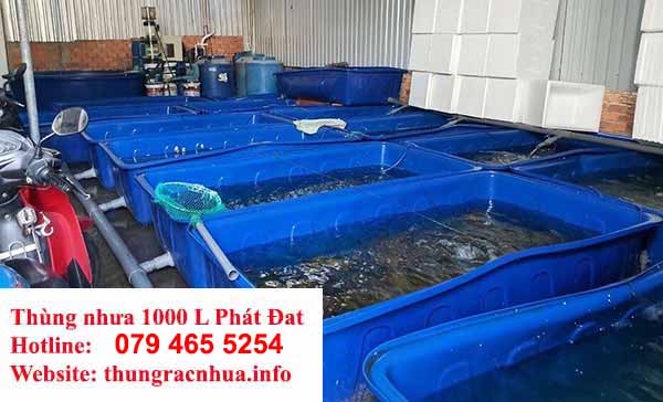 thùng nhựa 1000 L nuôi cá